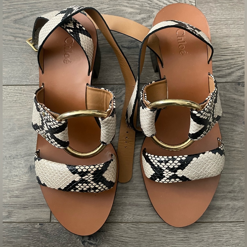 Chloe snake skin. Never worn, no tags or box
